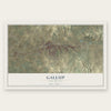 Gallup, New Mexico map print, the full design