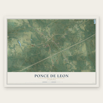 Ponce de Leon, Florida map print, the full design