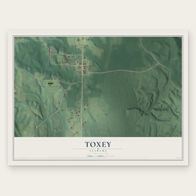 Toxey, Alabama map print, the full design