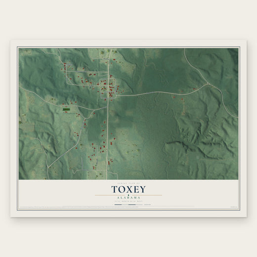 Toxey, Alabama map print, the full design