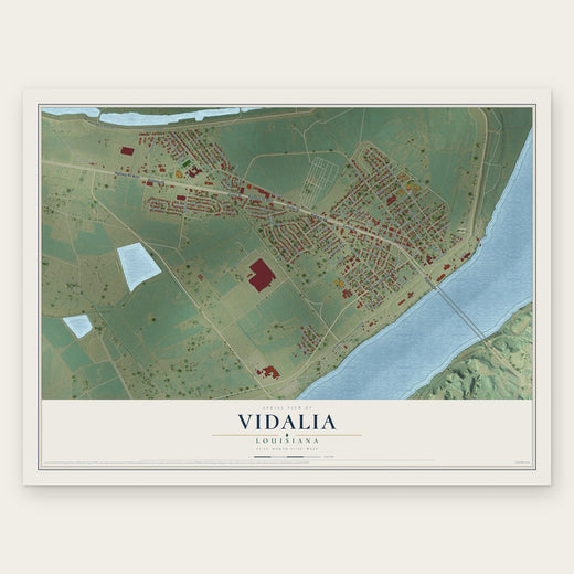 Vidalia, Louisiana map print, the full design