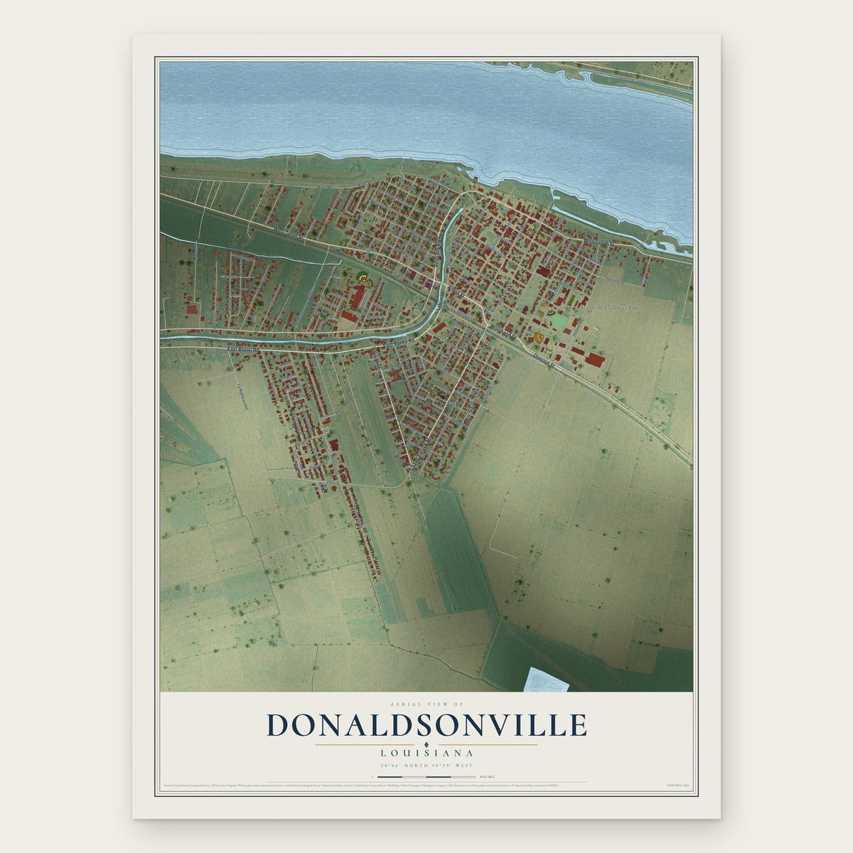 Donaldsonville, Louisiana map print, the full design