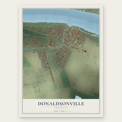 Donaldsonville, Louisiana map print, the full design