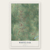 White Oak, Texas map print, the full design