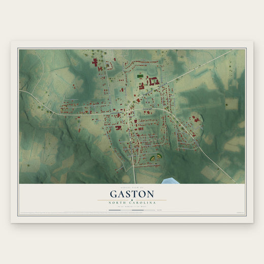 Gaston, North Carolina map print, the full design