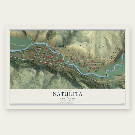 Naturita, Colorado map print, the full design