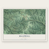 Braswell, Georgia map print, the full design