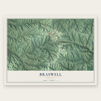 Braswell, Georgia map print, the full design
