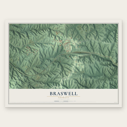 Braswell, Georgia map print, the full design