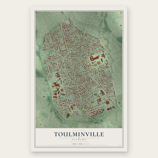 Toulminville, Alabama map print, the full design