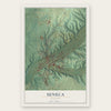 Seneca, Missouri map print, the full design