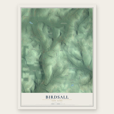 Birdsall, New York map print, the full design