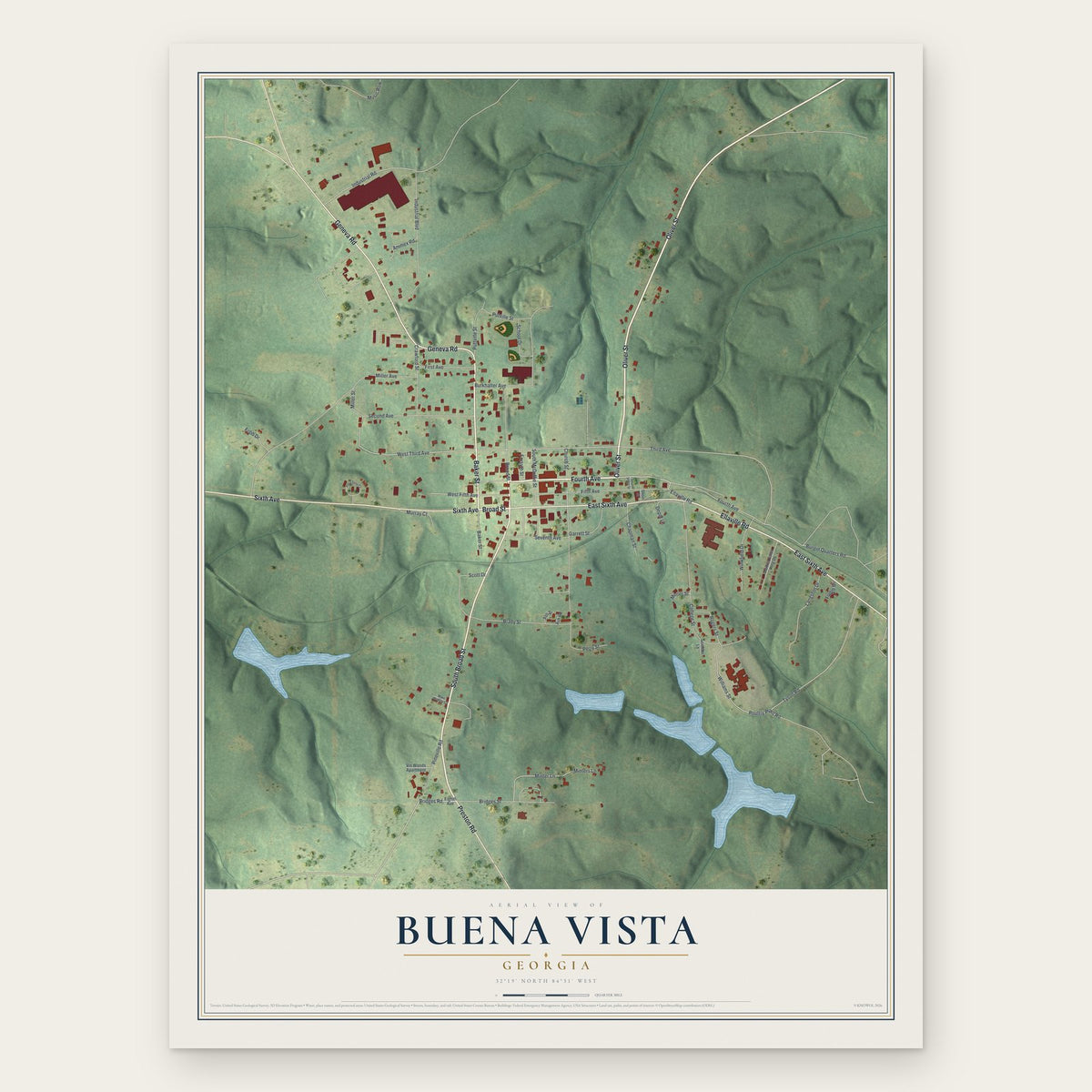 Buena Vista, Georgia map print, the full design
