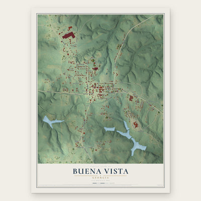 Buena Vista, Georgia map print, the full design