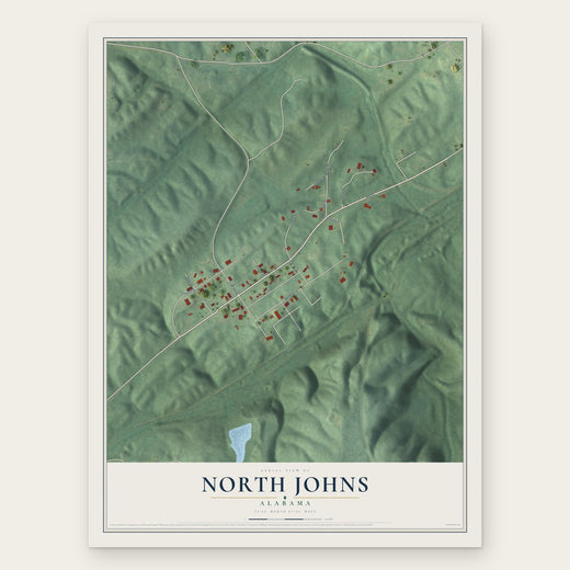North Johns, Alabama map print, the full design