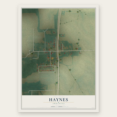 Haynes, Arkansas map print, the full design