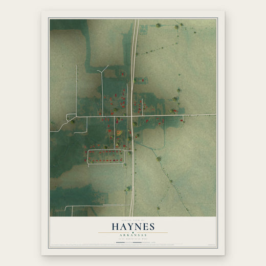 Haynes, Arkansas map print, the full design
