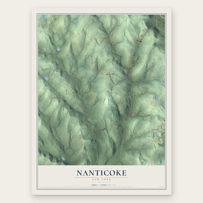 Nanticoke, New York map print, the full design