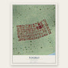 Touro, Louisiana map print, the full design