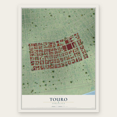 Touro, Louisiana map print, the full design