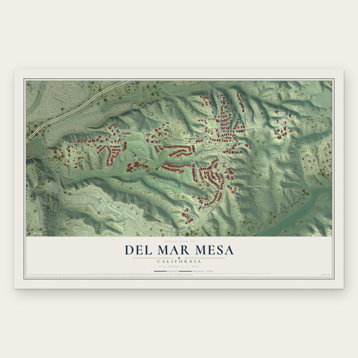 Del Mar Mesa, California map print, the full design