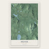 Duane, New York map print, the full design