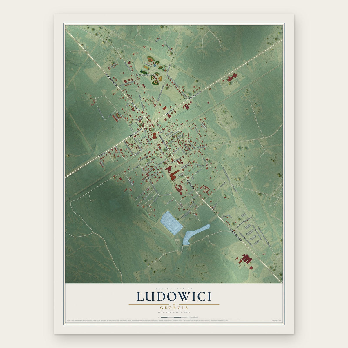 Ludowici, Georgia map print, the full design