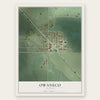 Owaneco, Illinois map print, the full design