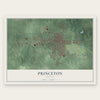 Princeton, Indiana map print, the full design