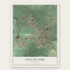 Lodi, Wisconsin map print, the full design