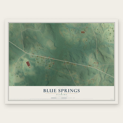 Blue Springs, Alabama map print, the full design