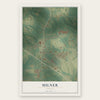 Milner, Georgia map print, the full design