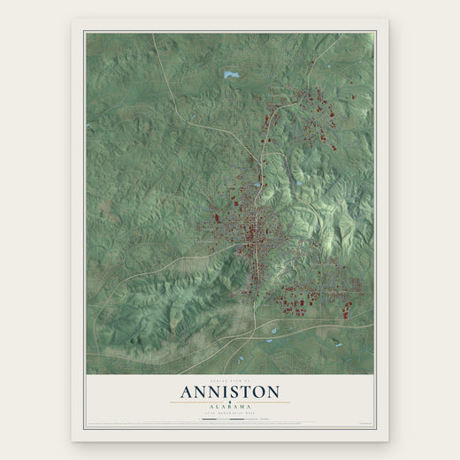 Anniston, Alabama map print, the full design