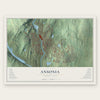 Ansonia, Connecticut map print, the full design