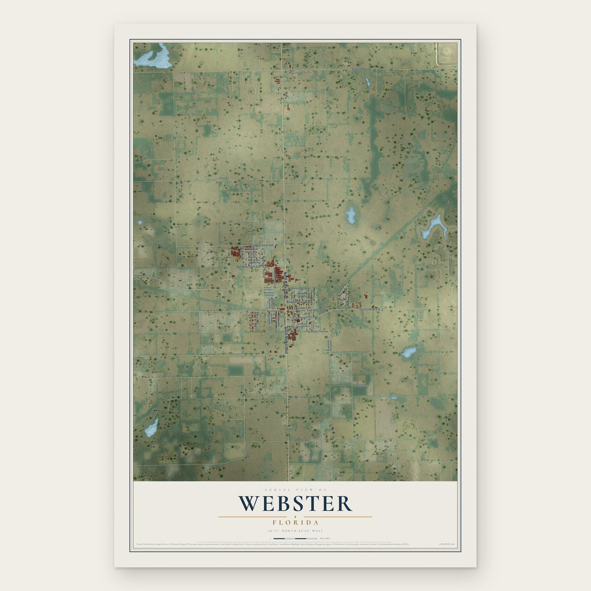 Webster, Florida map print, the full design