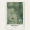 Princeton, Minnesota map print, the full design