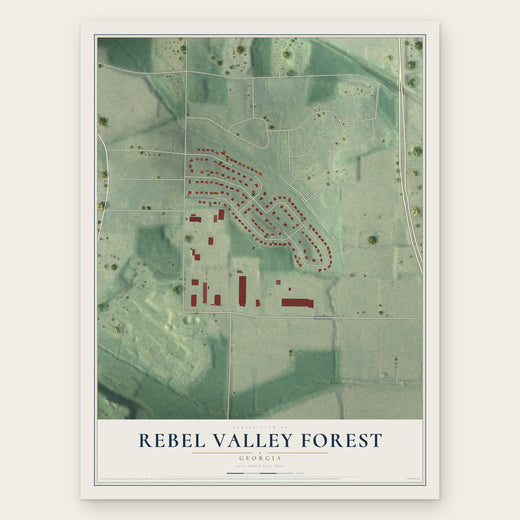 Rebel Valley Forest, Georgia map print, the full design