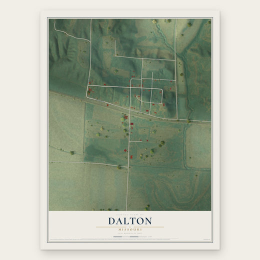 Dalton, Missouri map print, the full design