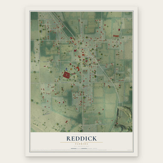 Reddick, Florida map print, the full design
