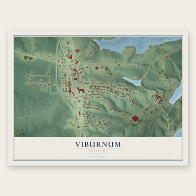 Viburnum, Missouri map print, the full design