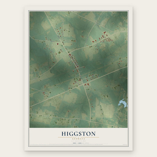 Higgston, Georgia map print, the full design