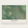 Toomsboro, Georgia map print, the full design