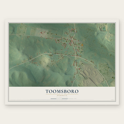 Toomsboro, Georgia map print, the full design