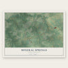 Mineral Springs, North Carolina map print, the full design