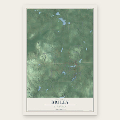 Briley, Michigan map print, the full design