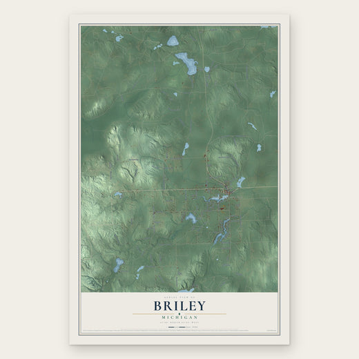Briley, Michigan map print, the full design