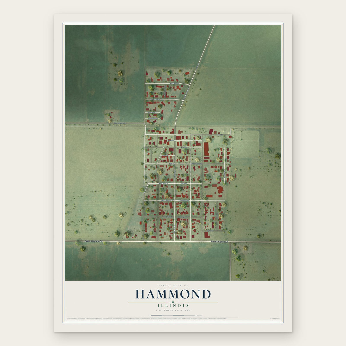 Hammond, Illinois map print, the full design