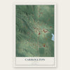 Carrollton, Alabama map print, the full design