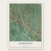 Leadington, Missouri map print, the full design