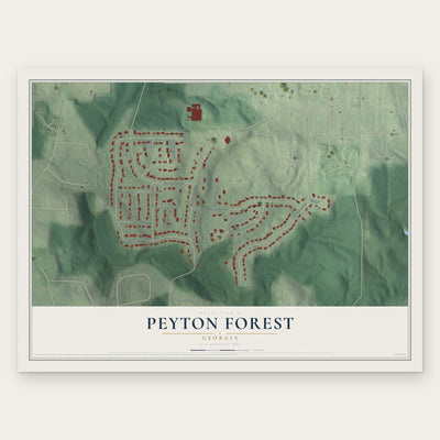 Peyton Forest, Georgia map print, the full design
